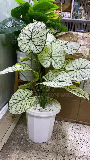 Space Saving Vertical Design Plant With Vase