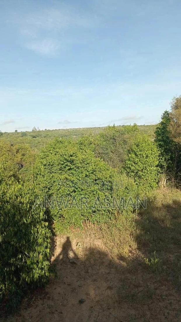 Land for Sale - thumbnail 2