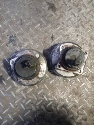 Rear Hub Bearing Axio/Fielder 141