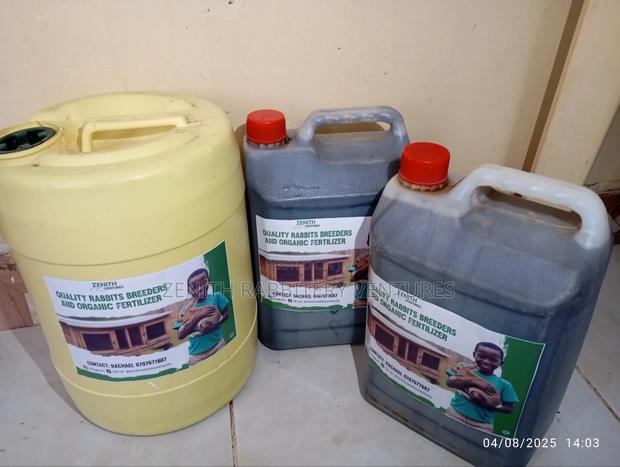 Pure Rabbit Urine for Sale - thumbnail 3