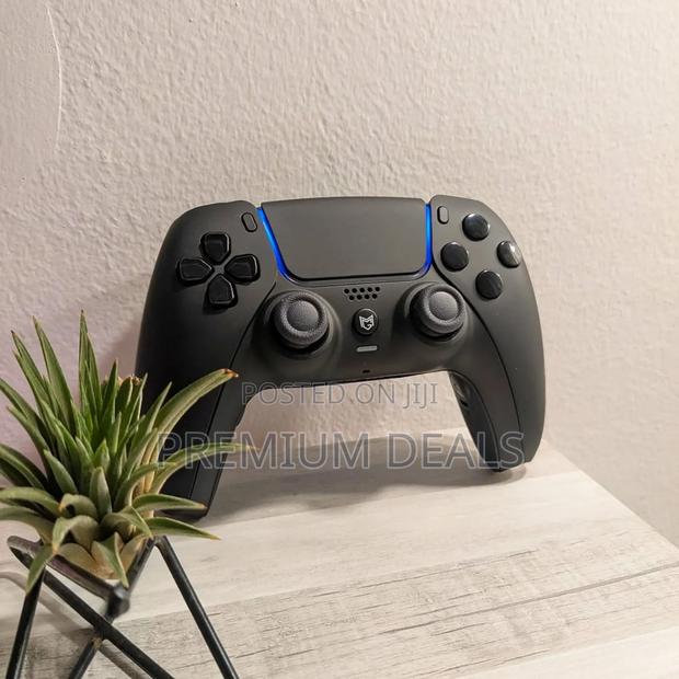Unique Controller for Ps5