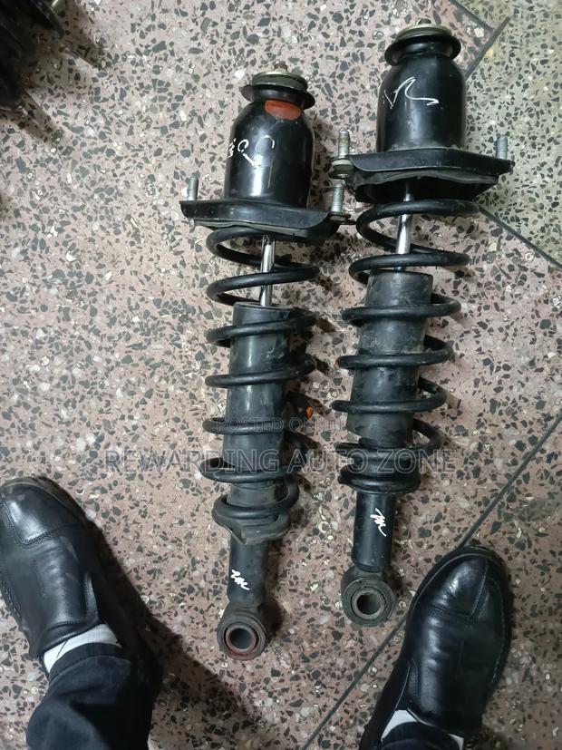 Fielder 141 2010 Rear Shocks