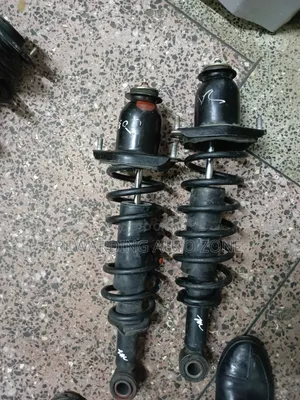 Fielder 141 2010 Rear Shocks
