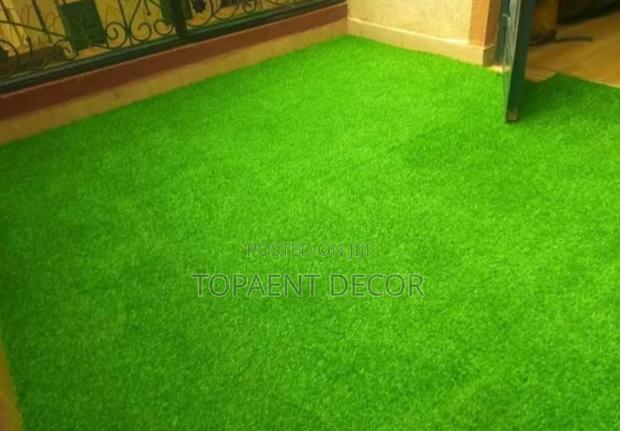 House Entrance Green Artificial Grass Carpet - main view