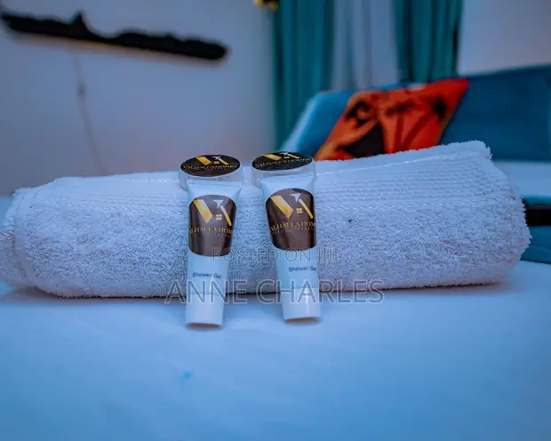 Furnished Studio Apartment in Luxore Apartment, Gateway Mall Area