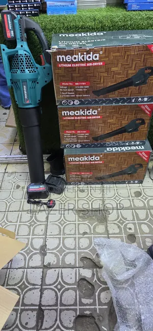 Cordless Leaf Blower 88v