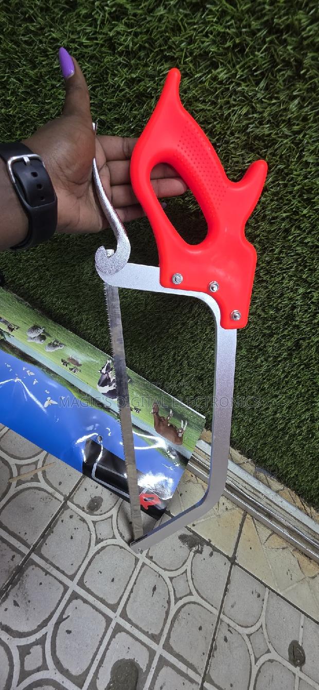 Most Affordable Orange Meat Saw - main view