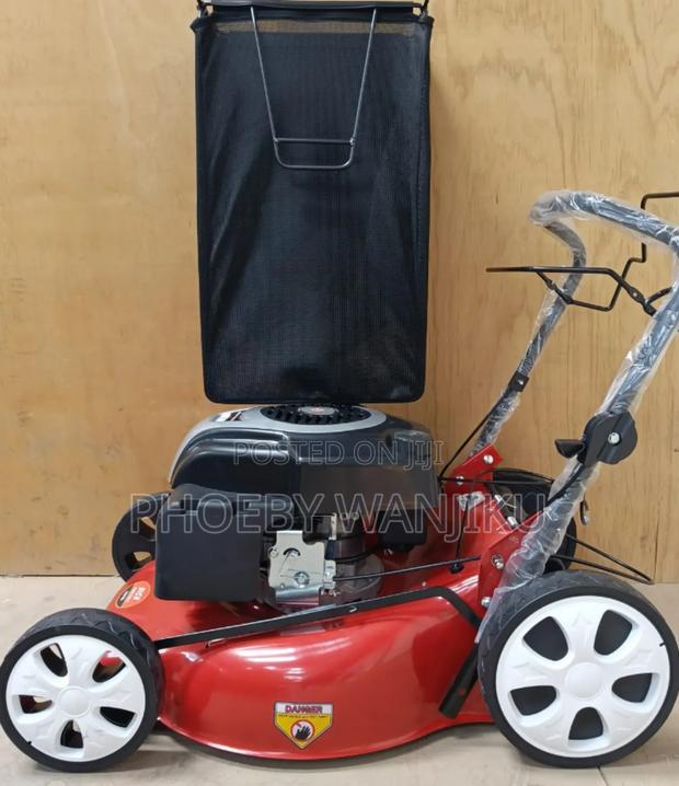 Dich Self Propelled Lawn Mower - main view