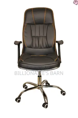 Luxurious Executive Leather Seat With Padded Armrests