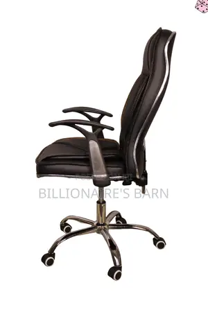 Luxurious Executive Leather Seat With Padded Armrests