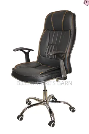Luxurious Executive Leather Seat With Padded Armrests