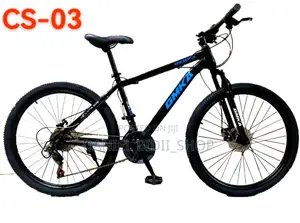 24inch Adult Mountain Bike Cs-03