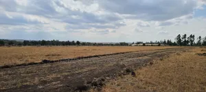 Kitengela Plains 2,500mtrs Off Tarmac