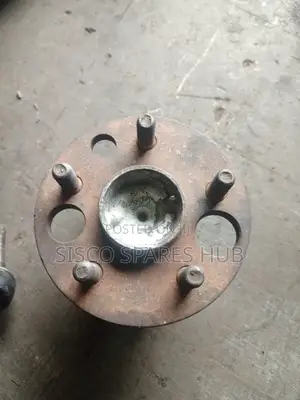 Hub Bearing Premio Nyoka