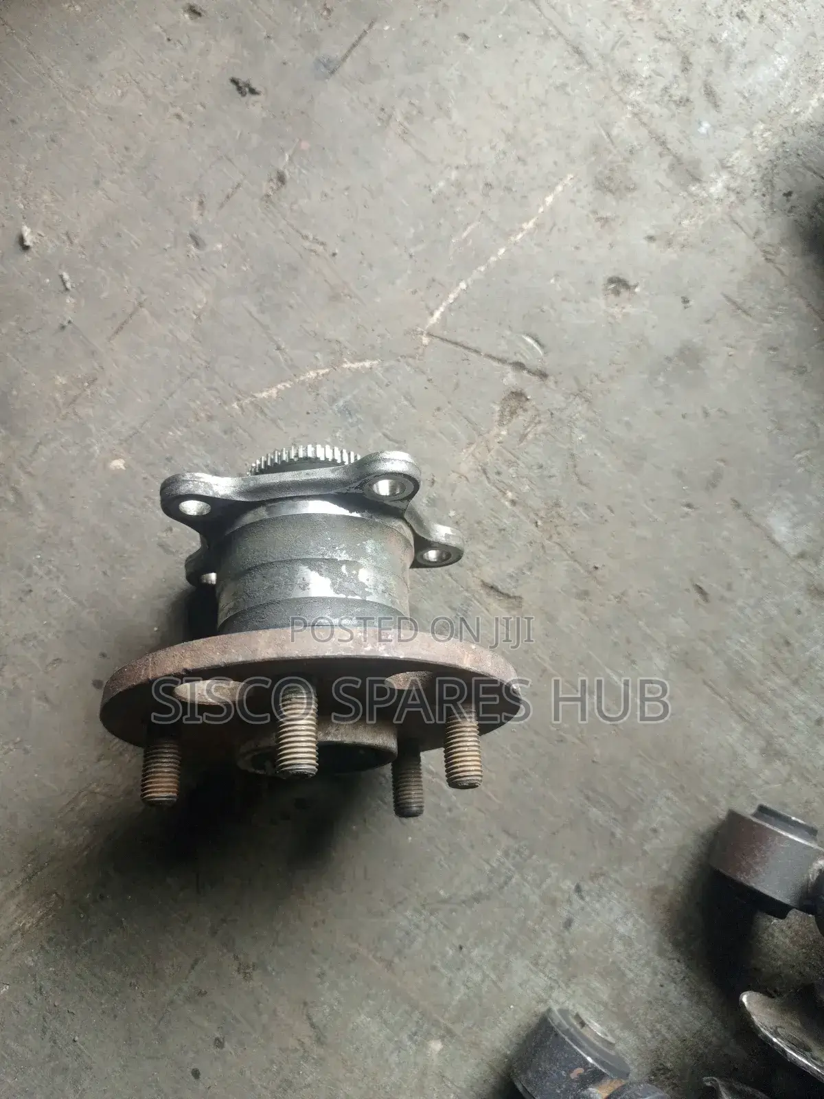 Hub Bearing Premio Nyoka