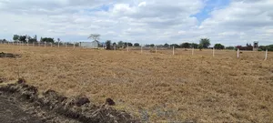 Kitengela Plains 2,500mtrs Off Tarmac