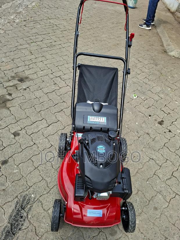 Lawn Mower/Grass Cutter/Gasoline Lawn Mower