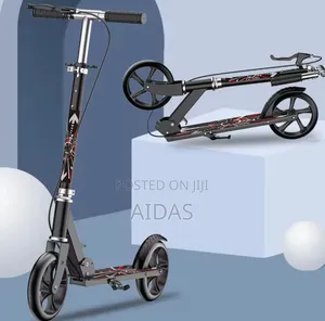 Foldable Metallic Scooter