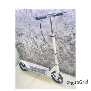 Foldable Metallic Scooter