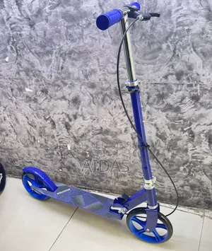 Foldable Metallic Scooter