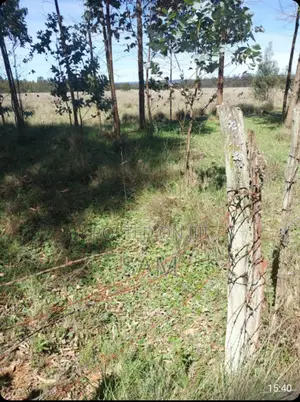 Prime 28ac (Ol Joro Orok)