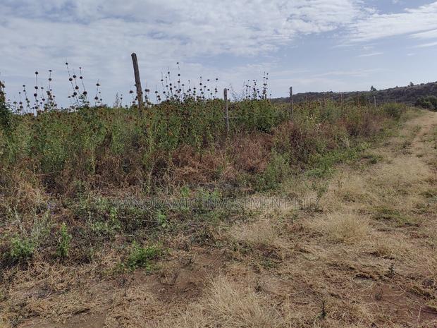50by100 Plots for Sale in Nachu Ndacha Kikuyu Kiambu.