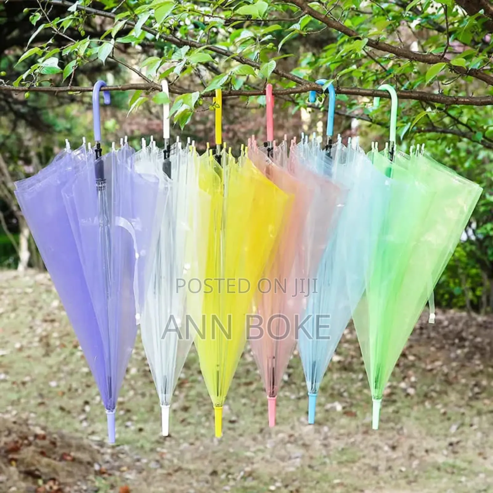 In *Transparent Umbrellas Now In Stock