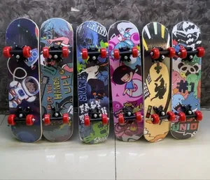 Small Skate Board