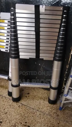 4.4m Telescopic Ladder