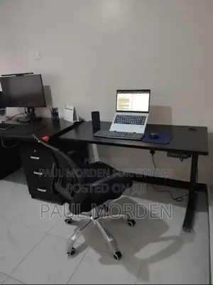 Office Adjustable Brand Electric Desk (120cm)
