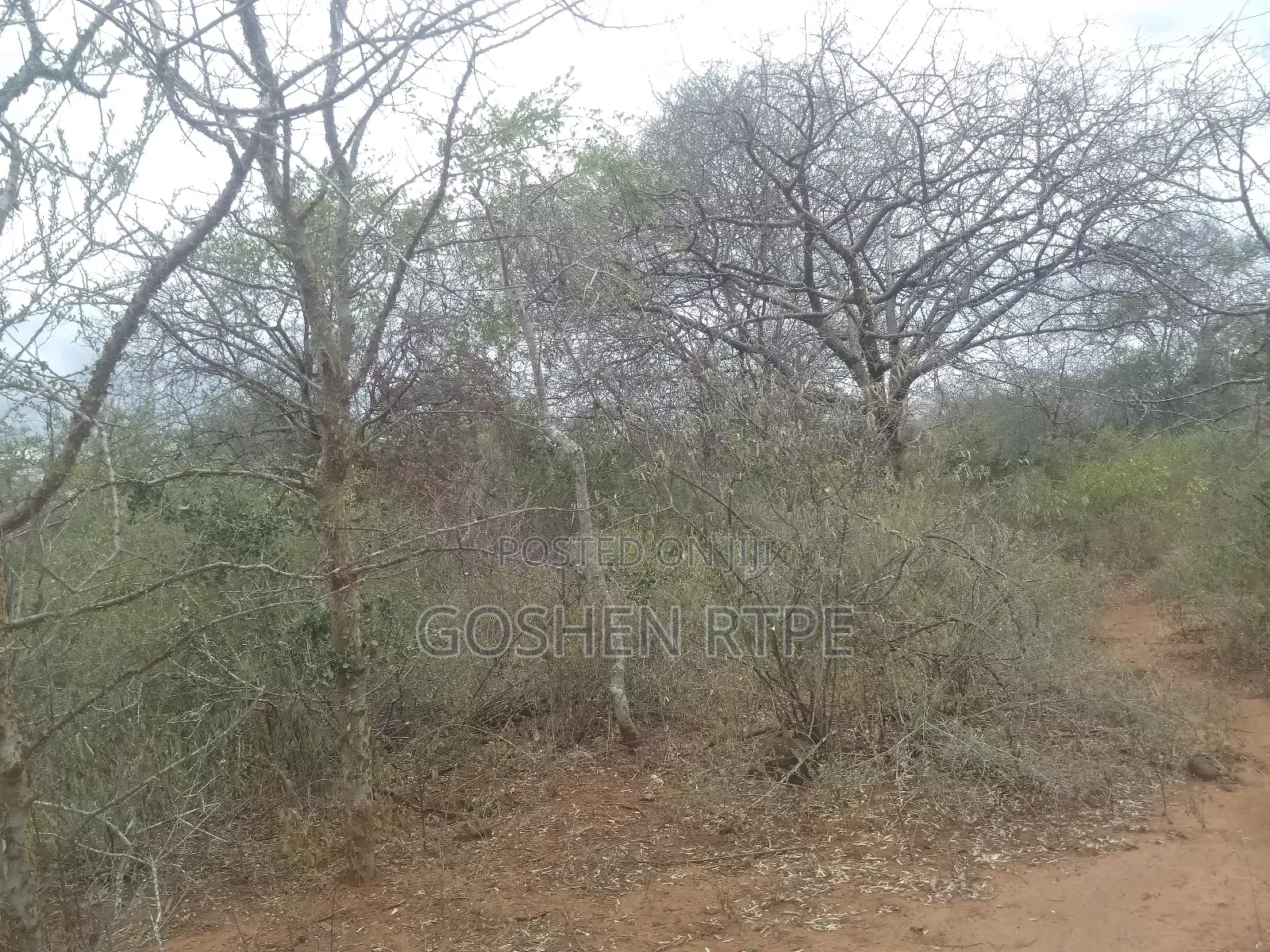 Prime Virgin 581 Acres at /Ac on Sale at Athi Town Ikutha Kitui