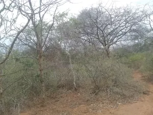 Prime Virgin 581 Acres at /Ac on Sale at Athi Town Ikutha Kitui