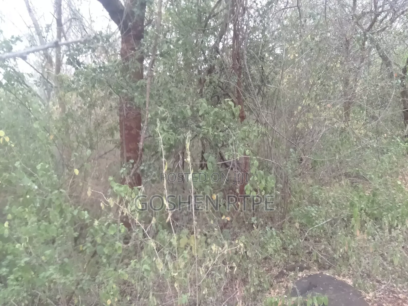 Prime Virgin 581 Acres at /Ac on Sale at Athi Town Ikutha Kitui
