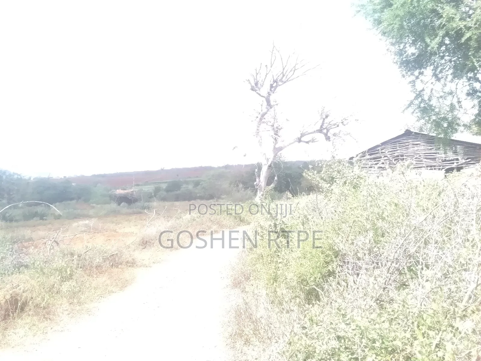Prime Virgin 581 Acres at /Ac on Sale at Athi Town Ikutha Kitui
