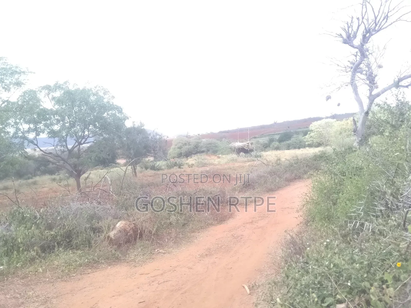 Prime Virgin 581 Acres at /Ac on Sale at Athi Town Ikutha Kitui