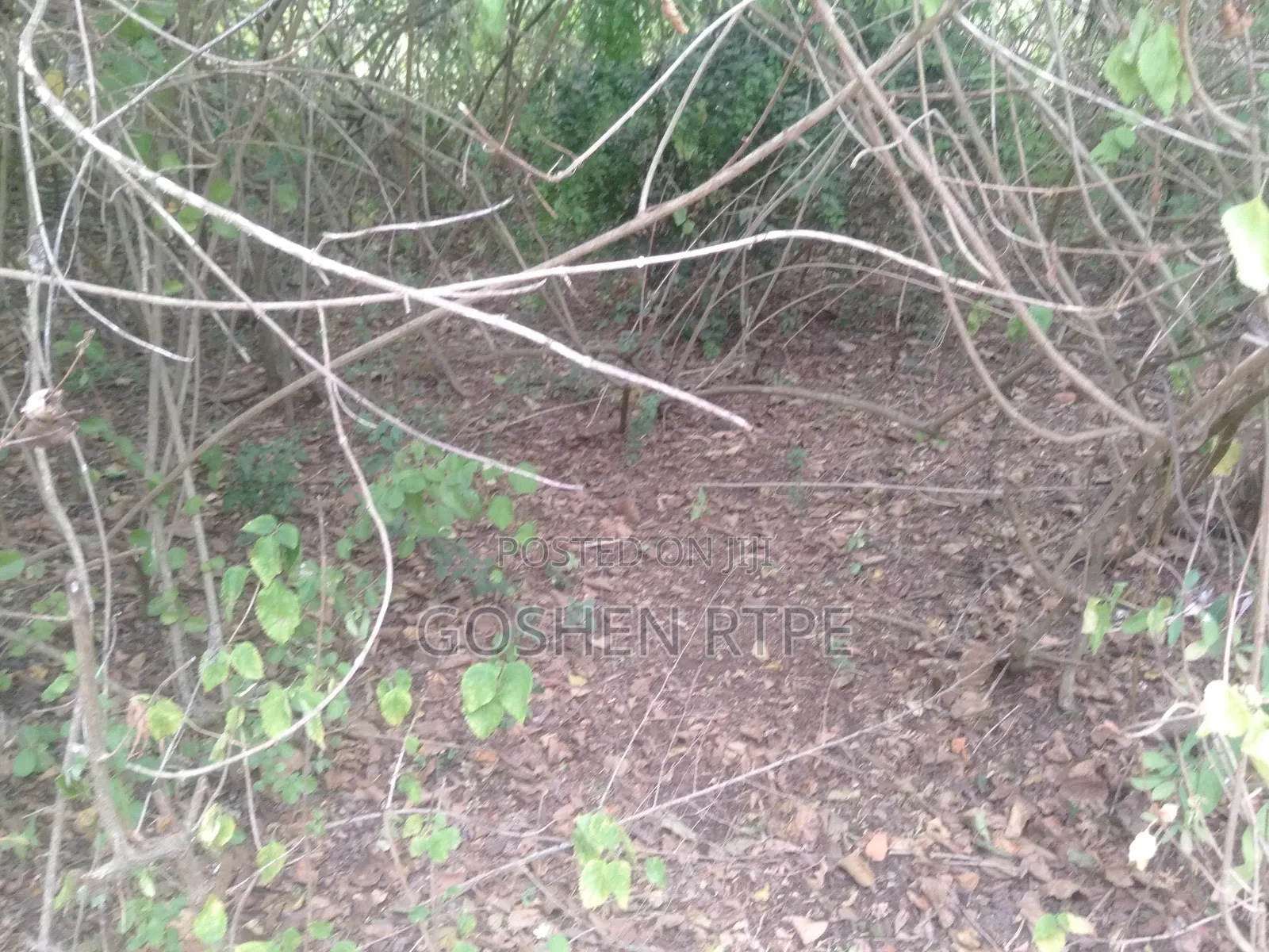 Prime Virgin 581 Acres at /Ac on Sale at Athi Town Ikutha Kitui