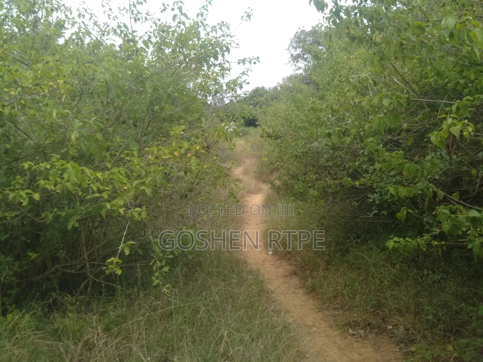 Prime Virgin 581 Acres at /Ac on Sale at Athi Town Ikutha Kitui