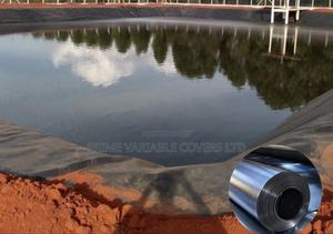 No More Leaks in Your Azolla Pond - thumbnail 2