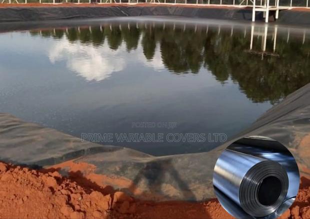 No More Leaks in Your Azolla Pond - main view