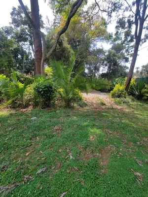 Prime Commercial Plot for Sale