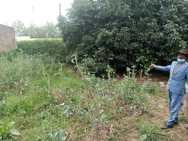 Plot in Mwiki 13th Street 50x50 - main view