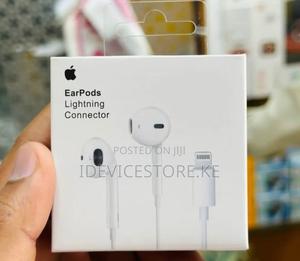 Apple Earphones - main view