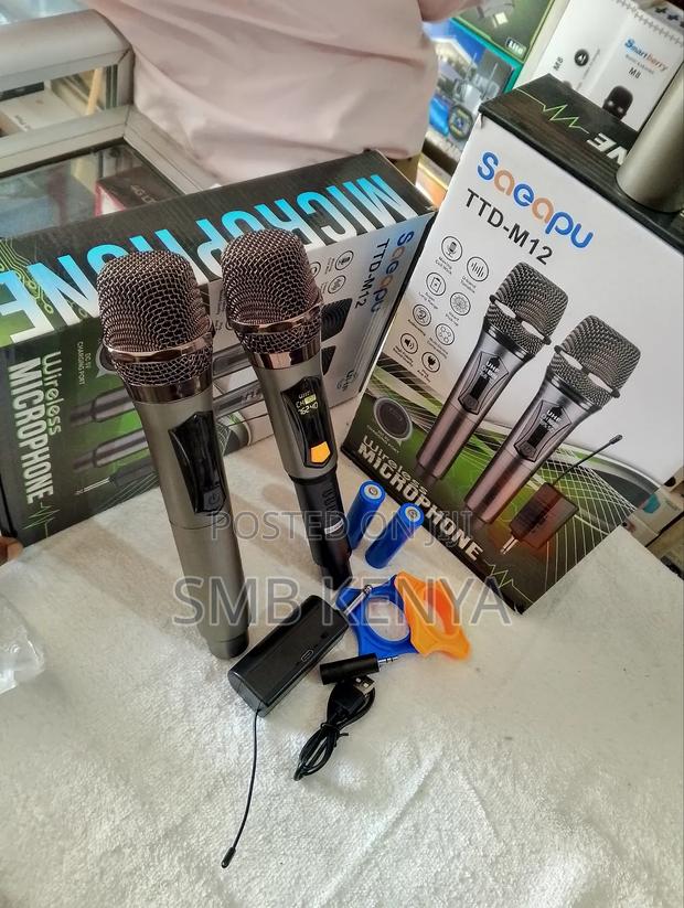 Wireless Microphone Pair - main view