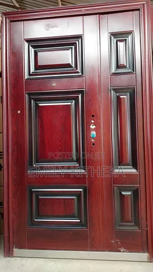 Imported High Quality Steel Door