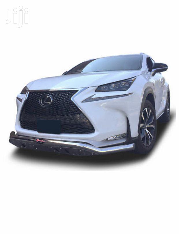 Nudgebar Lexus Bullbar - main view