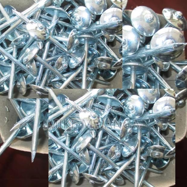 Roofing Nails(Steel)