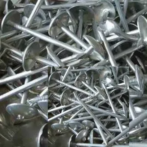 Galvanized Roofing Nails/
