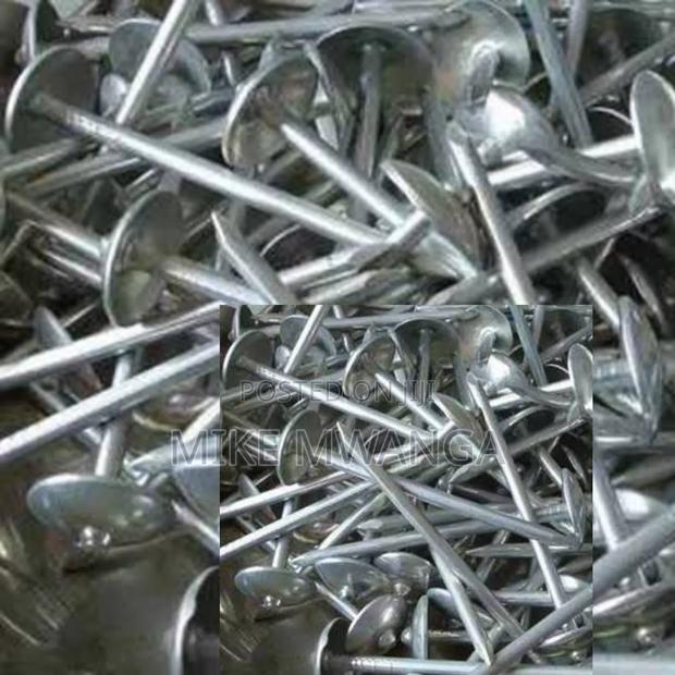 Galvanized Roofing Nails/