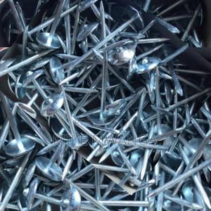 Corrosion Resistance Roofing Nails - main view