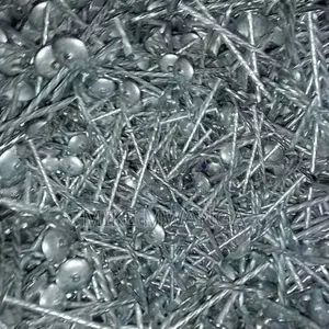 Galvanized Steel Roofing Nails (25kg)
